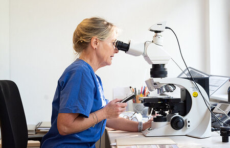 Chefärztin der Pathologie, Dr. med. Cornelia Radke, bei der mikroskopischen Untersuchung einer Tumorzelle