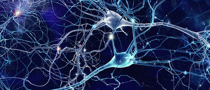 Visualisierung von Nervenzellen